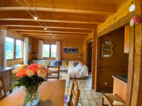 Appartement 4 pièces, 8 pers, terrasse plein sud, parking, salle de jeux - FR-1-437-109 La Clusaz